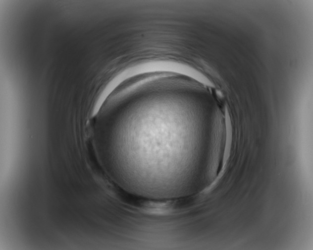 X0000083970170200703091810