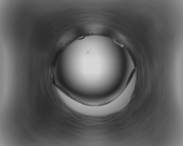X0000083970172200703091810