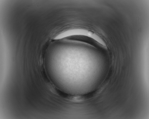 X0000083970173200703091810