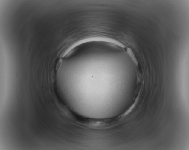 X0000083970174200703091810