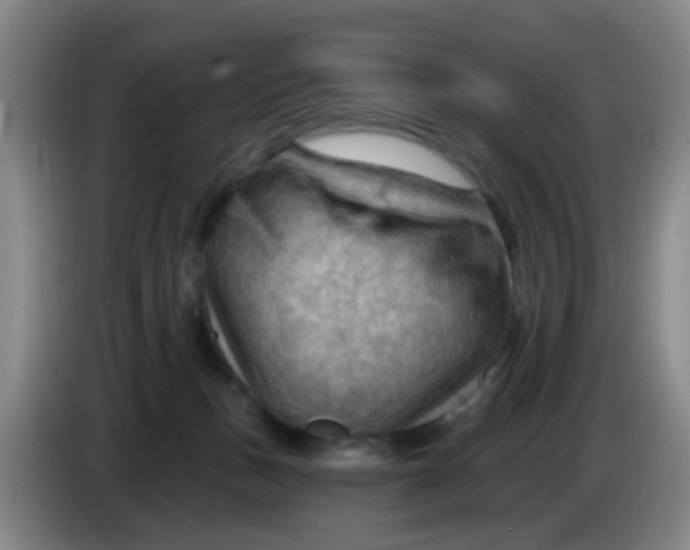 X0000083970175200703091810