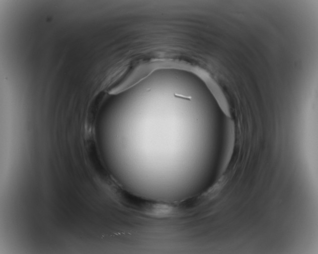 X0000083970176200703091810