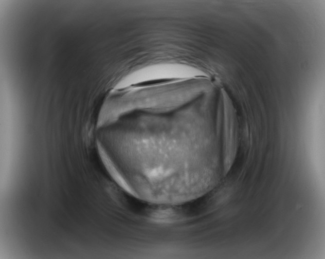 X0000083970177200703091810