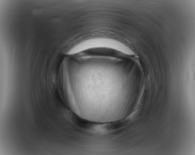 X0000083970178200703091810