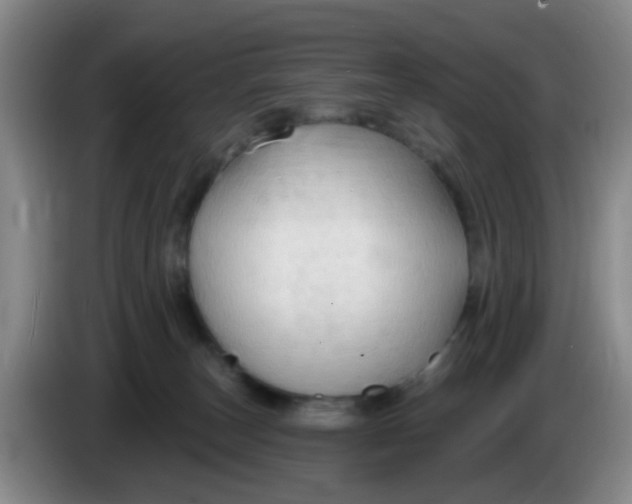 X0000083970179200703091810