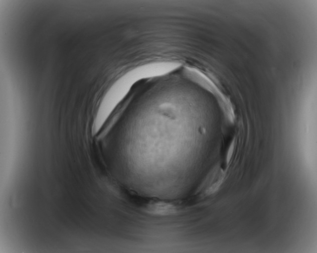 X0000083970180200703091810