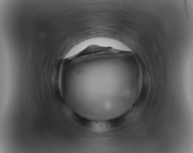 X0000083970181200703091810