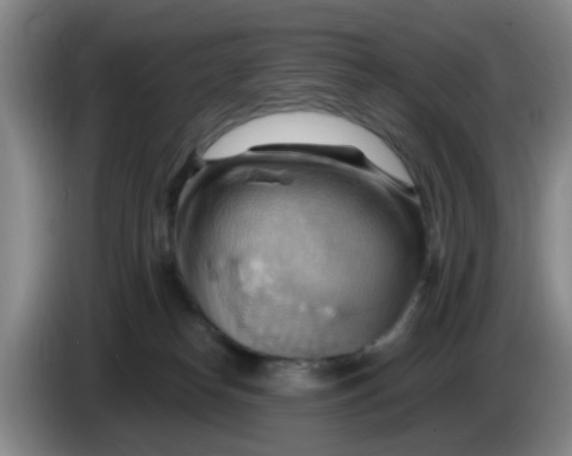 X0000083970182200703091810