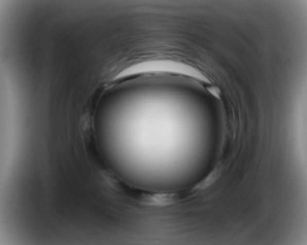 X0000083970184200703091810