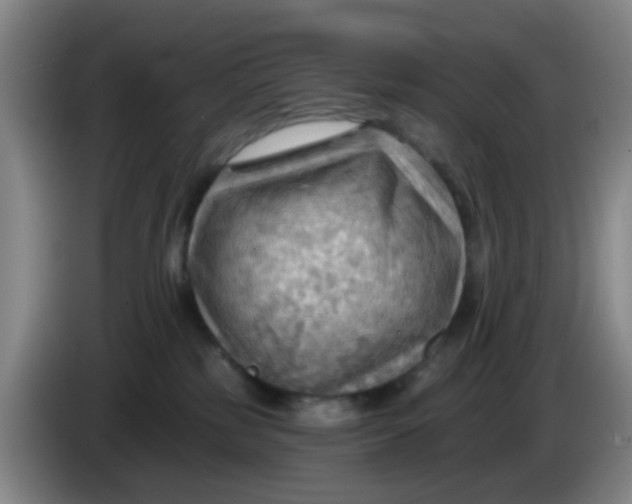 X0000083970185200703091810