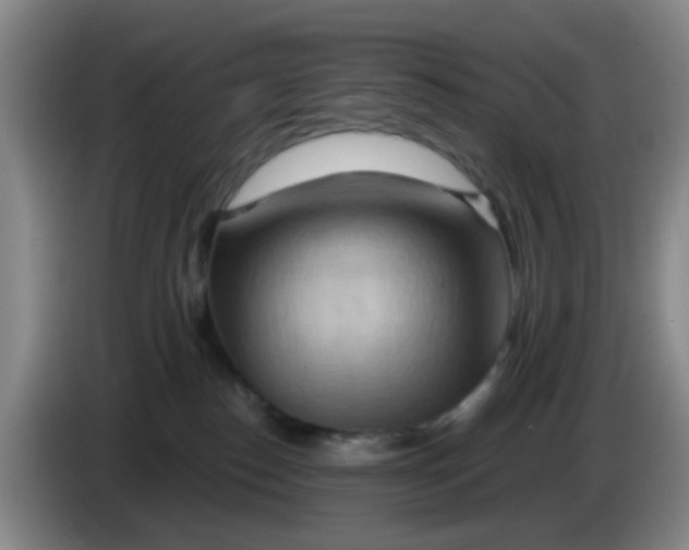X0000083970186200703091810