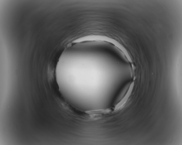 X0000083970188200703091810