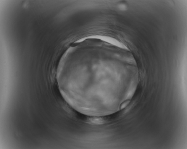 X0000083970189200703091810