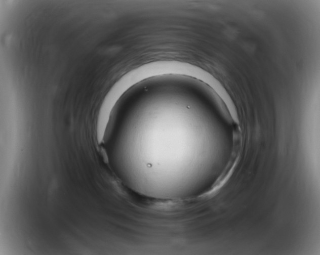 X0000083970190200703091810