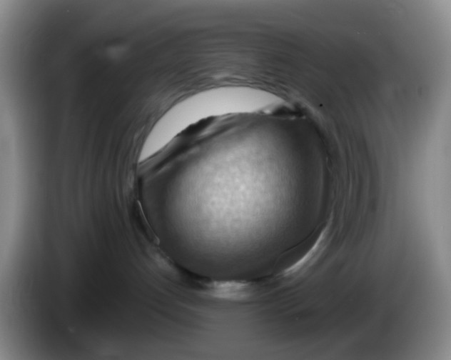 X0000083970192200703091810