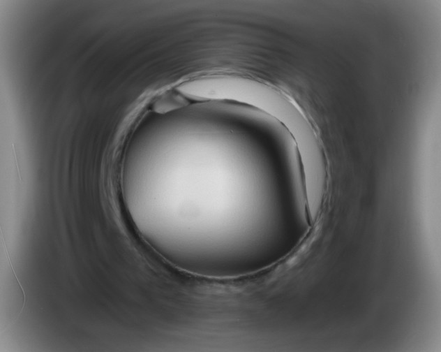 X0000083970193200703091810