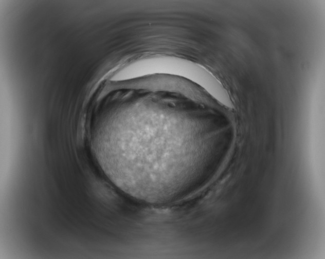 X0000083970194200703091810