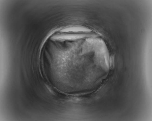 X0000083970195200703091810