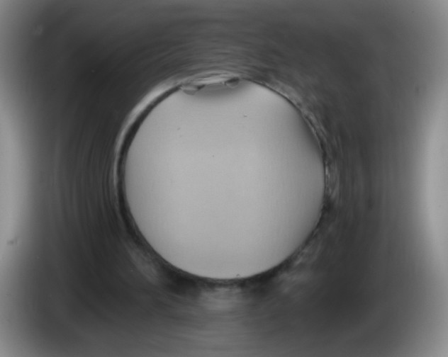 X0000083970196200703091810