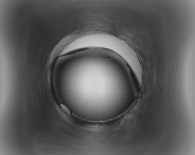 X0000083970197200703091810
