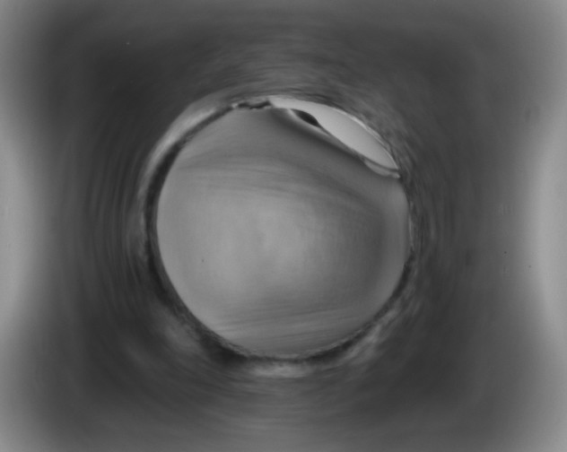X0000083970198200703091810