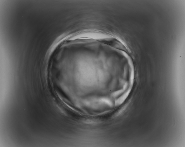 X0000083970199200703091810