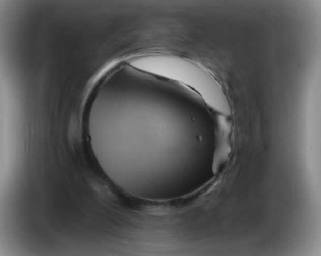 X0000083970200200703091810