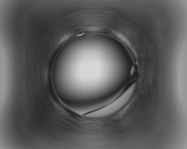 X0000083970201200703091810