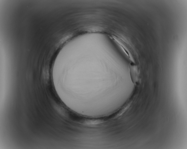 X0000083970202200703091810