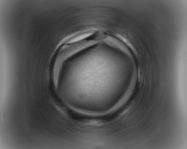 X0000083970204200703091810
