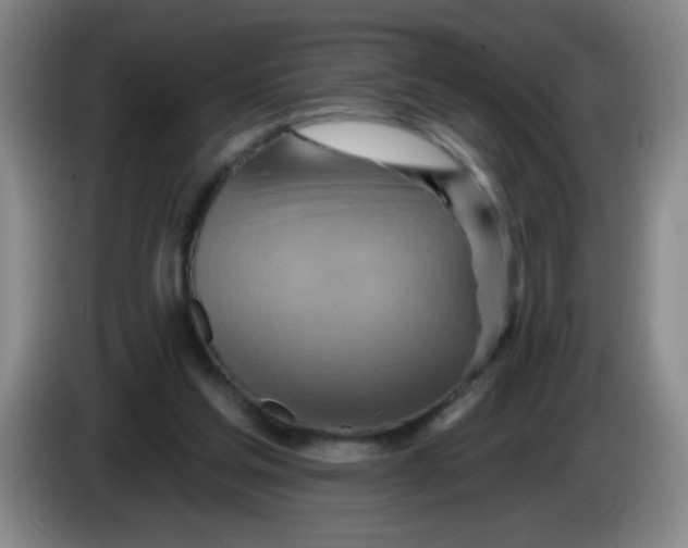 X0000083970205200703091810
