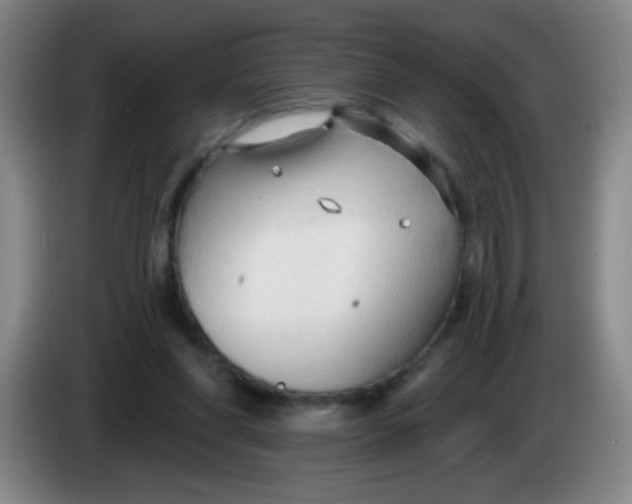 X0000083970206200703091810