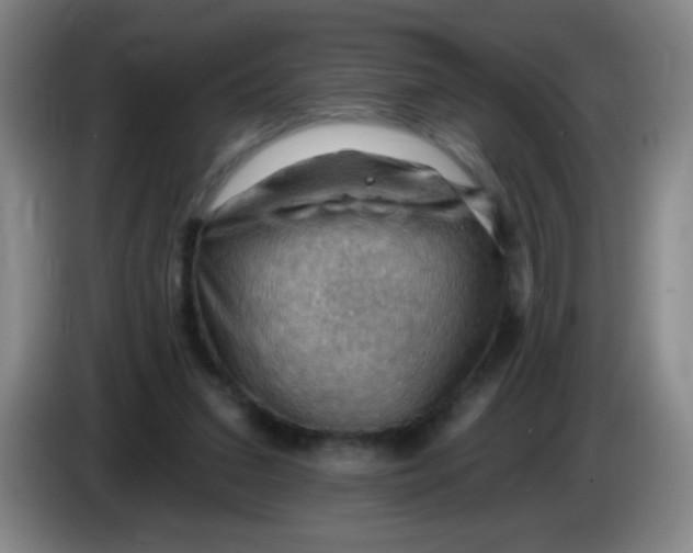 X0000083970207200703091810