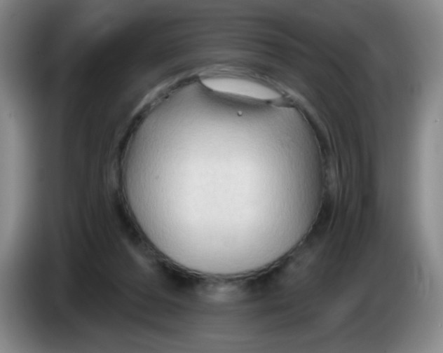 X0000083970208200703091810