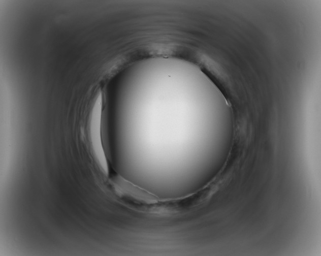 X0000083970209200703091810