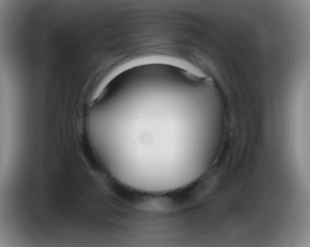 X0000083970210200703091810