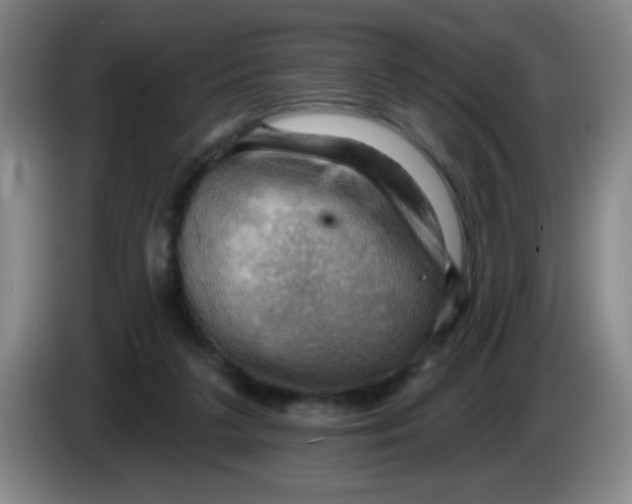 X0000083970211200703091810