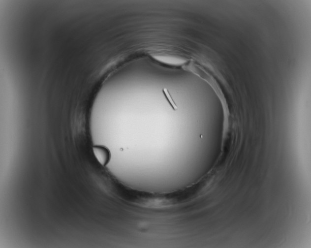 X0000083970212200703091810