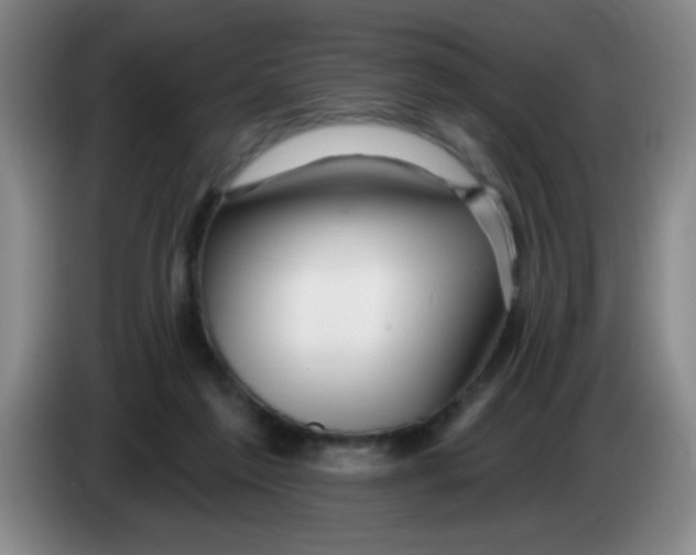 X0000083970213200703091810