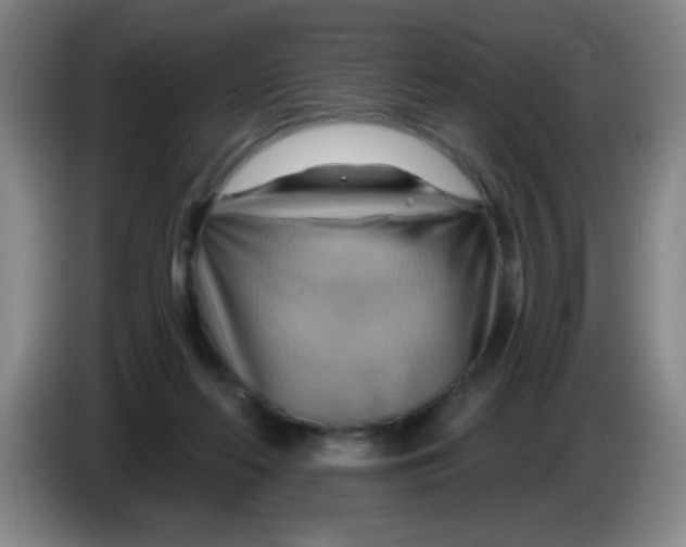 X0000083970214200703091810