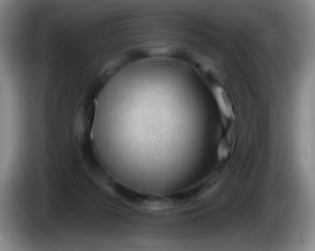 X0000083970215200703091809