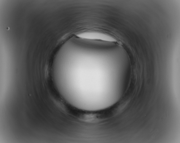 X0000083970216200703091809