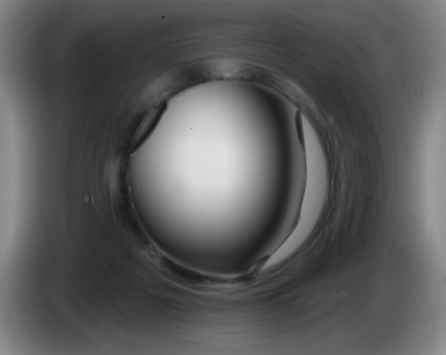 X0000083970217200703091809