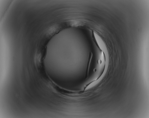 X0000083970219200703091809