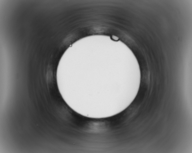 X0000083970220200703091809