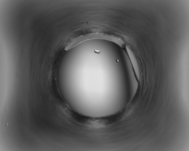 X0000083970221200703091809