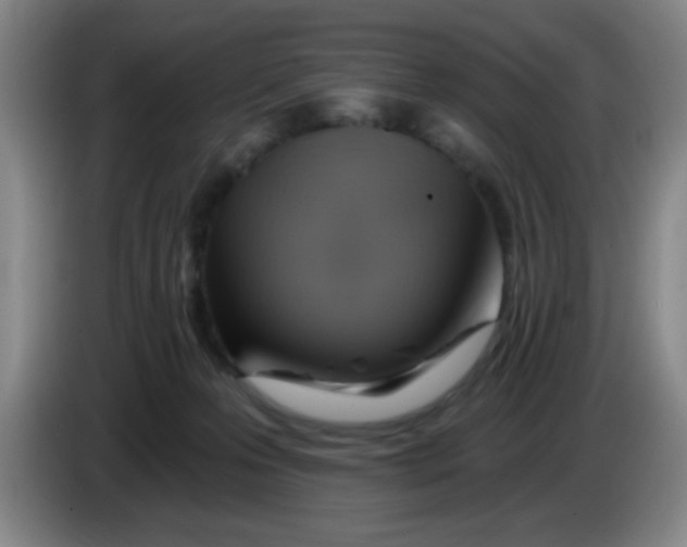 X0000083970223200703091809