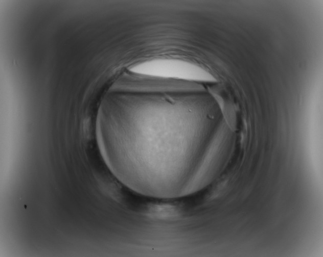 X0000083970224200703091809
