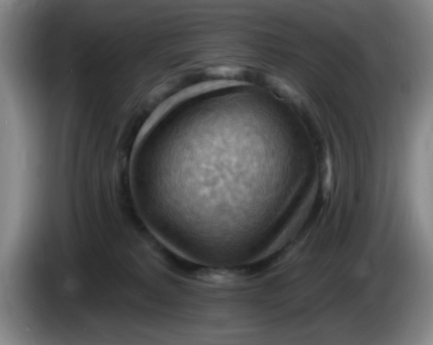 X0000083970229200703091809