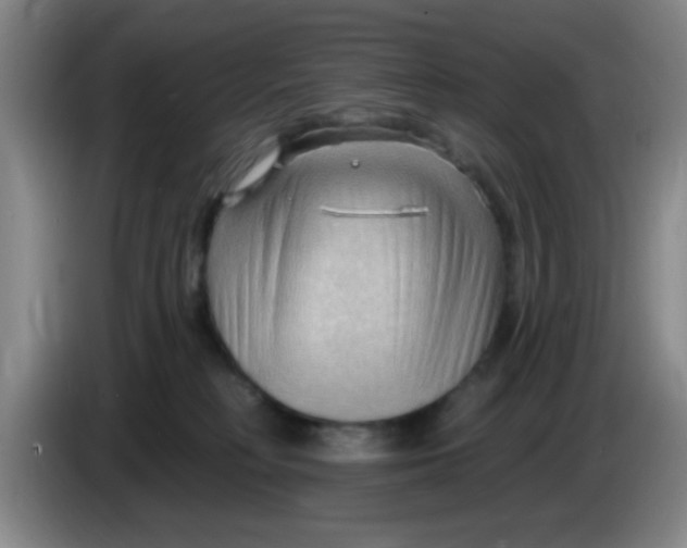 X0000083970230200703091809